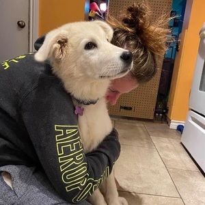 Meet your Posher, Donna